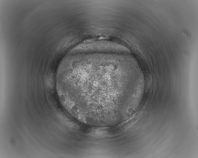 X0000110870078200907021445