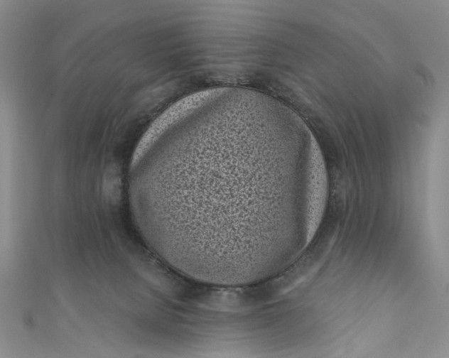 X0000110870080200907021445