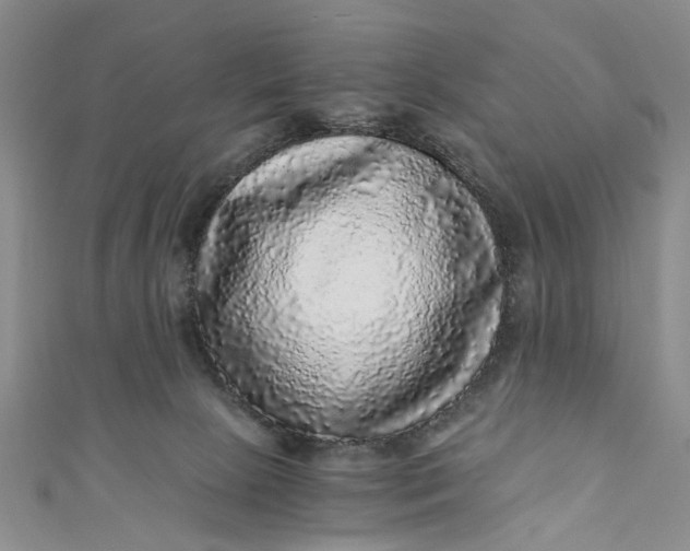 X0000110870081200907021445