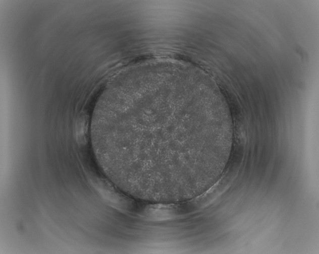 X0000110870082200907021445