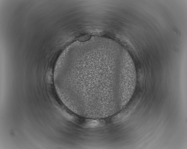 X0000110870083200907021445