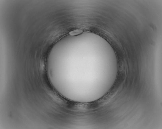 X0000110870084200907021445