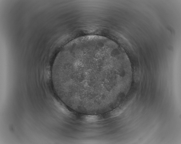 X0000110870085200907021445