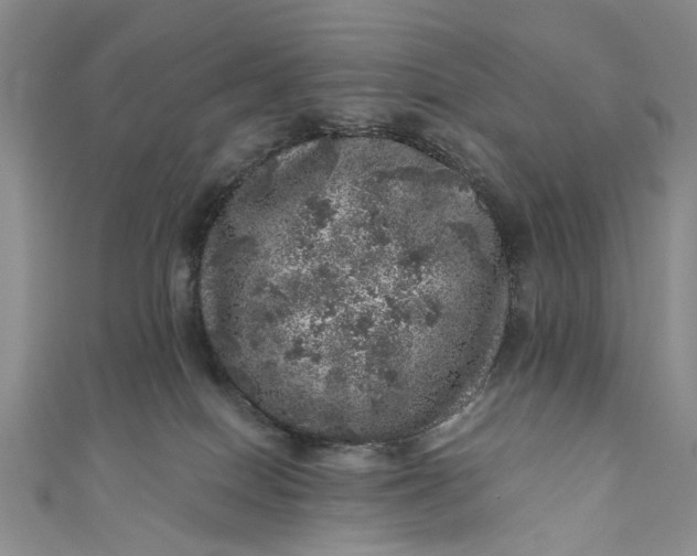 X0000110870086200907021445