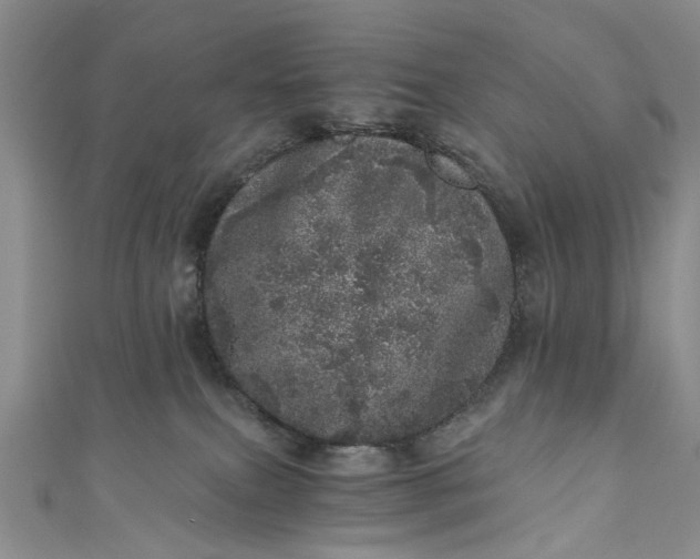 X0000110870087200907021445