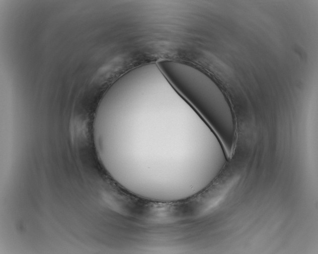 X0000110870088200907021445