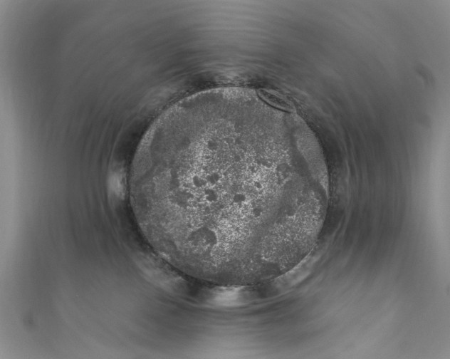 X0000110870090200907021445