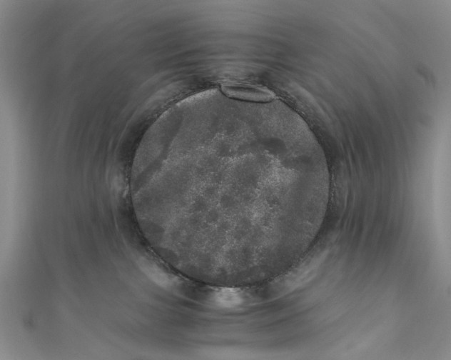 X0000110870091200907021445