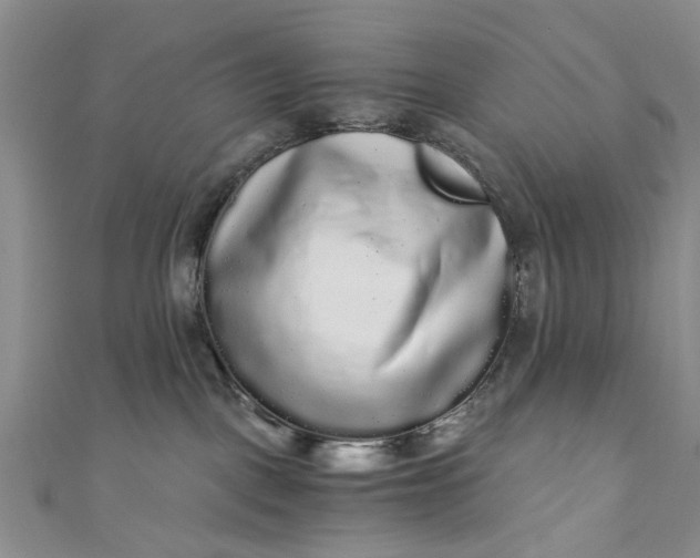 X0000110870093200907021445