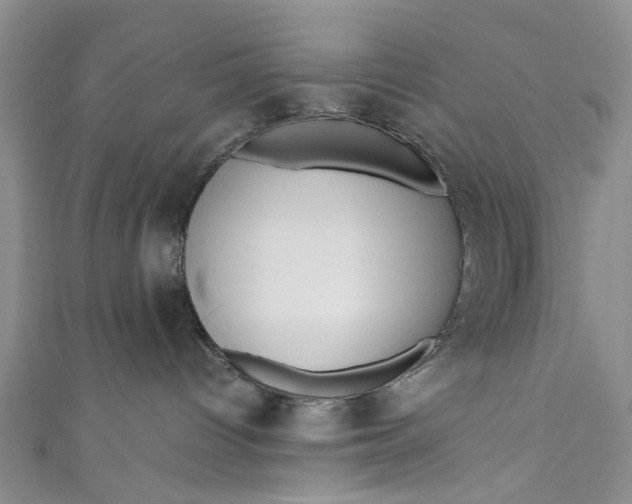 X0000110870096200907021445