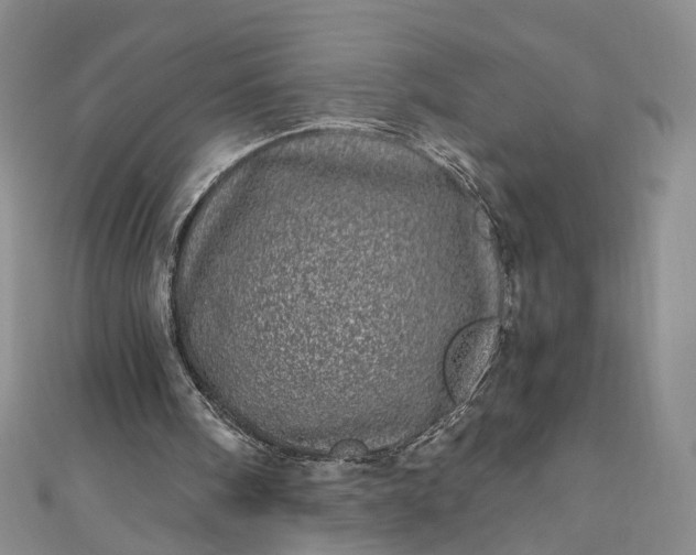 X0000110870098200907021445