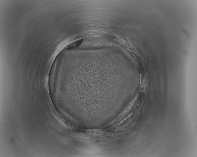 X0000110870099200907021445