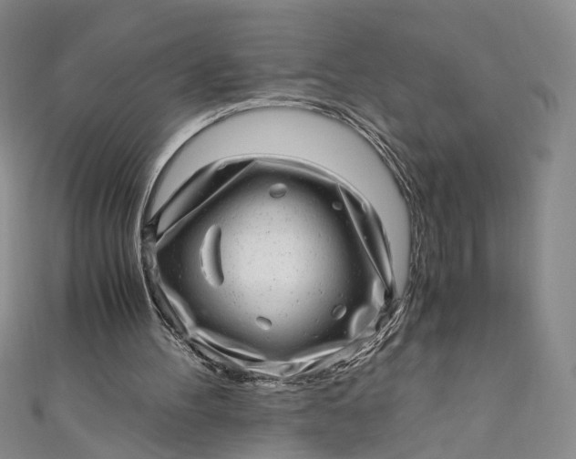 X0000110870100200907021445