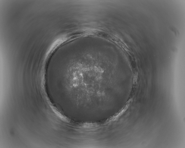 X0000110870101200907021445