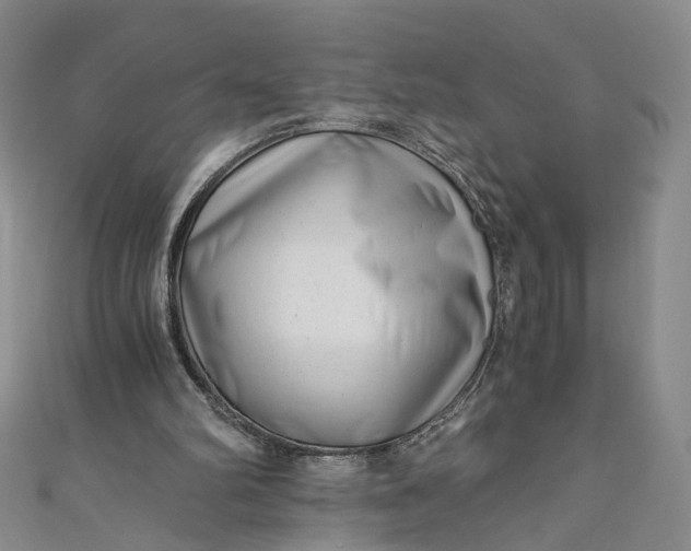 X0000110870102200907021445