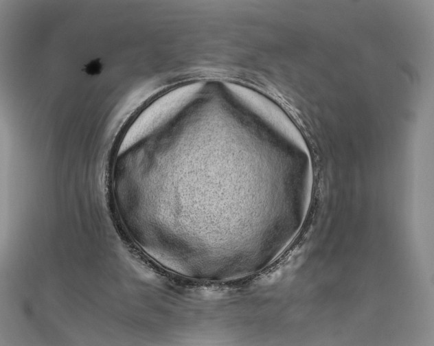 X0000110870103200907021445