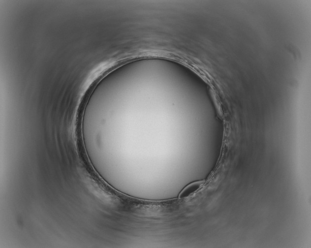 X0000110870104200907021445