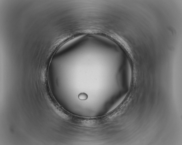 X0000110870105200907021445