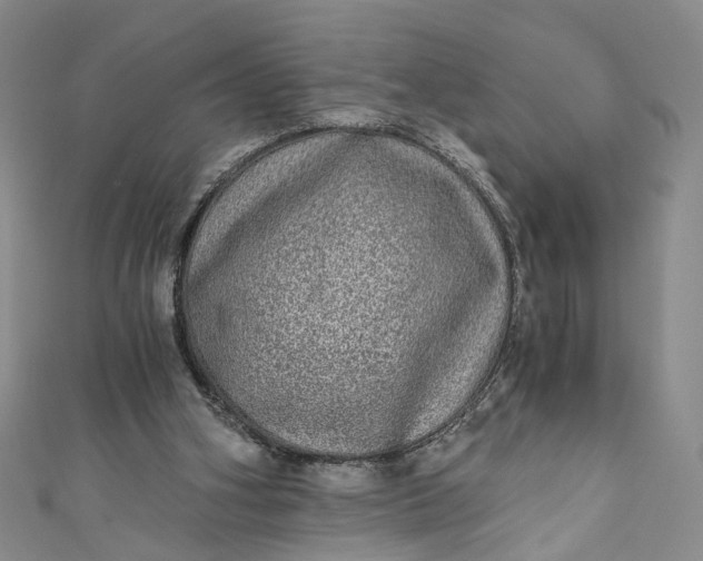 X0000110870106200907021445