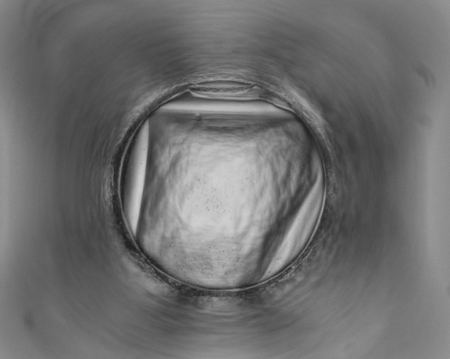 X0000110870107200907021445