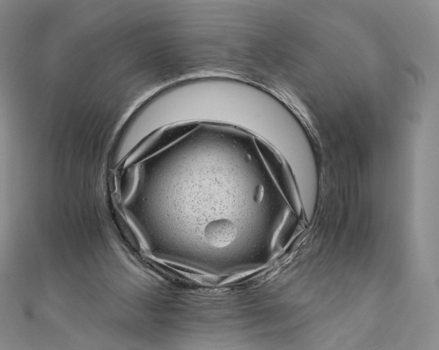 X0000110870108200907021445