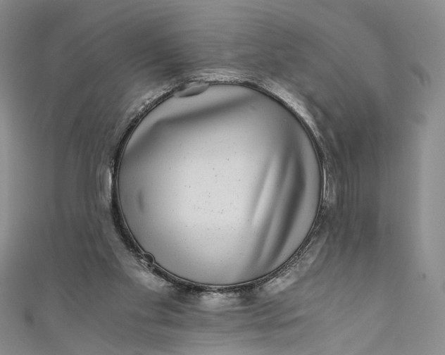 X0000110870109200907021445