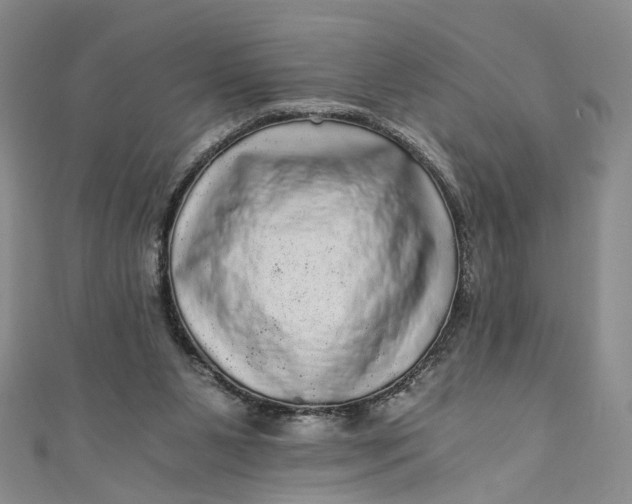 X0000110870111200907021444