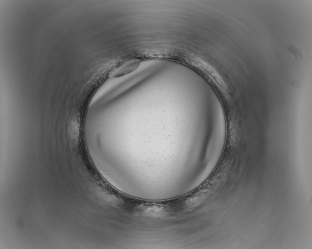 X0000110870113200907021444