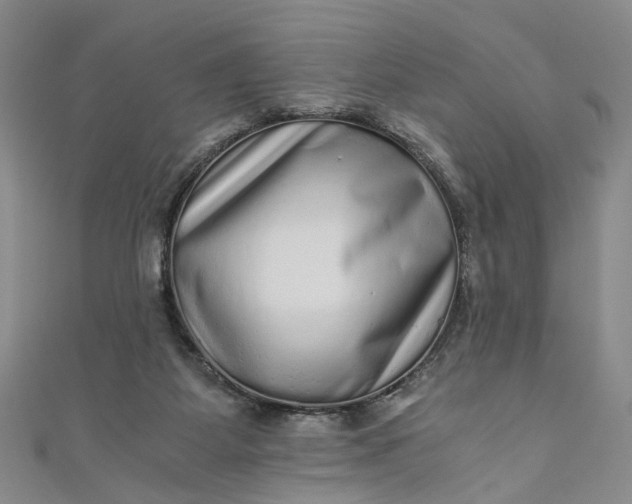 X0000110870115200907021444