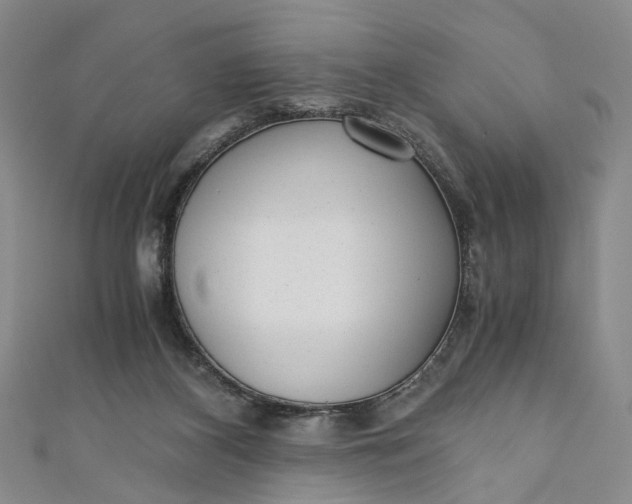 X0000110870116200907021444