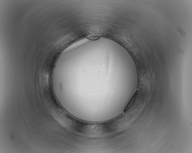 X0000110870117200907021444