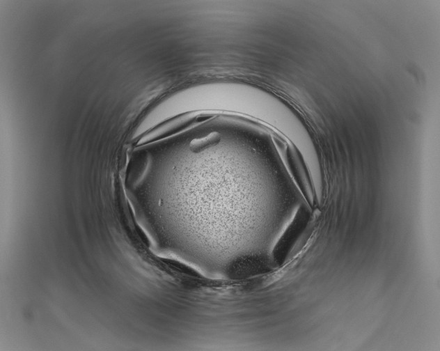 X0000110870120200907021444