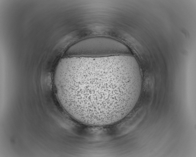 X0000110870121200907021444