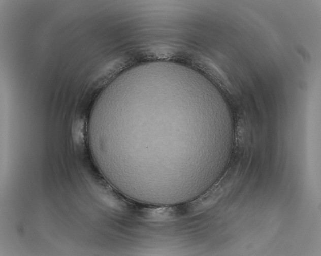 X0000110870122200907021444