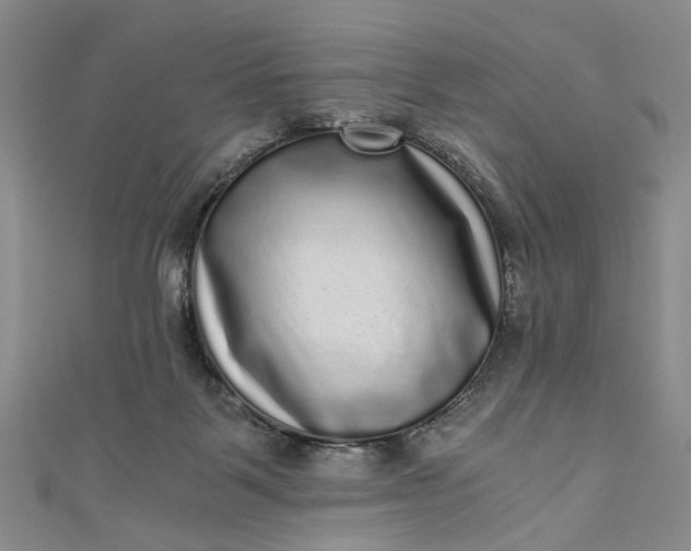 X0000110870123200907021444