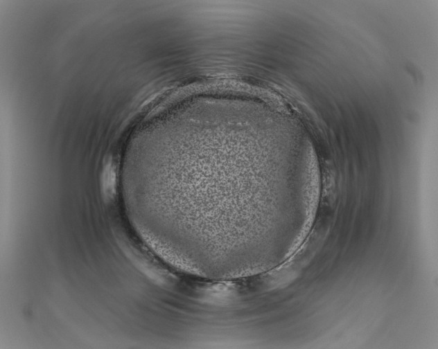 X0000110870124200907021444