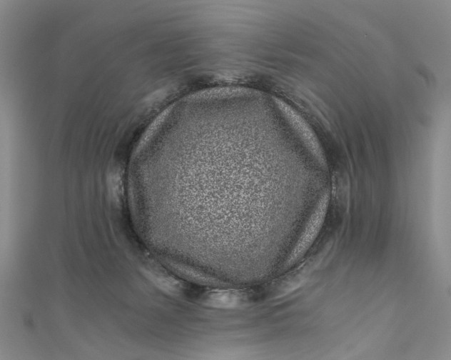 X0000110870127200907021444