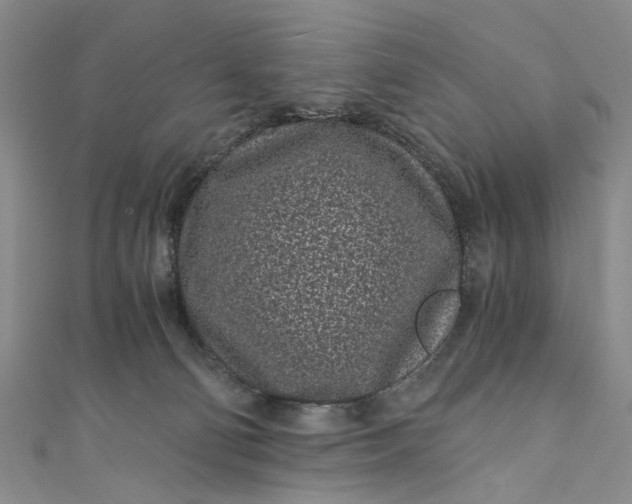 X0000110870130200907021444