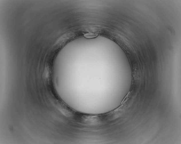 X0000110870132200907021444