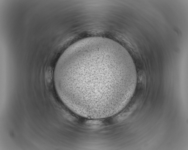 X0000110870133200907021444