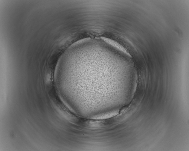 X0000110870134200907021444