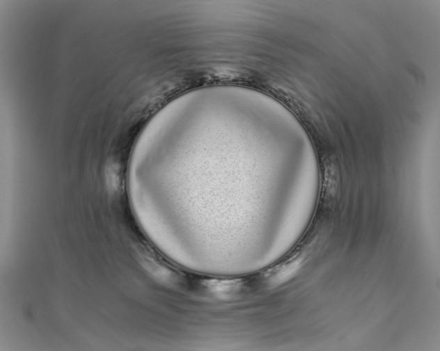 X0000110870135200907021444