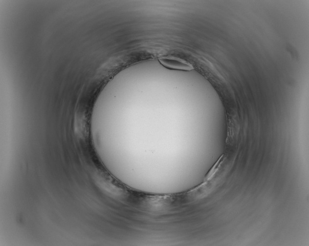 X0000110870136200907021444