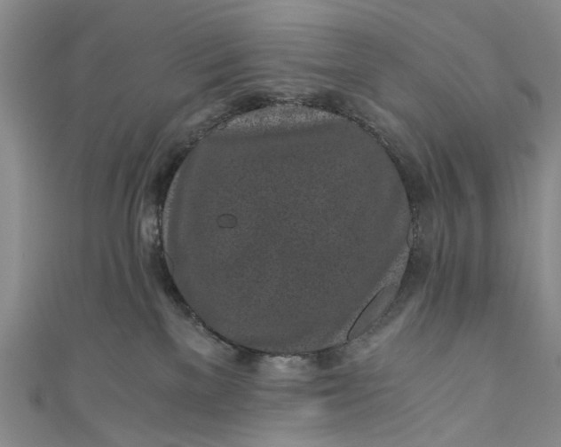 X0000110870137200907021444