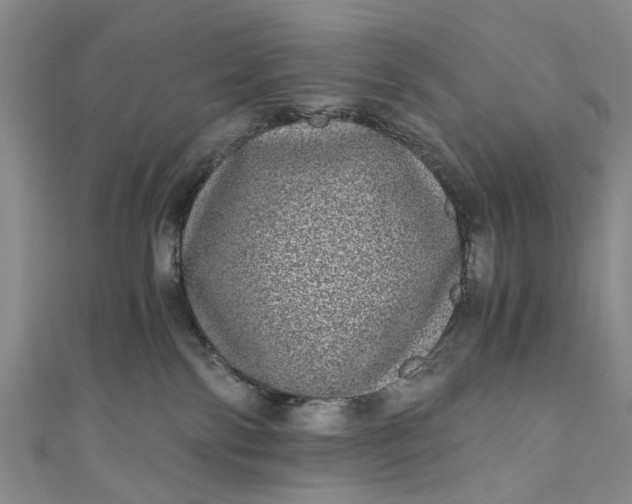 X0000110870138200907021444