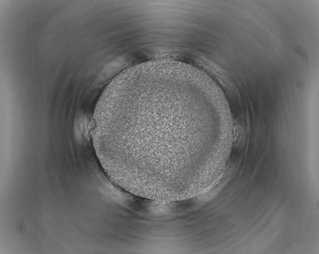 X0000110870142200907021444