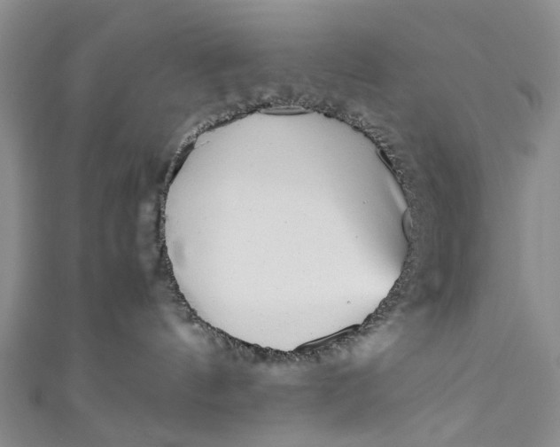 X0000110870144200907021444