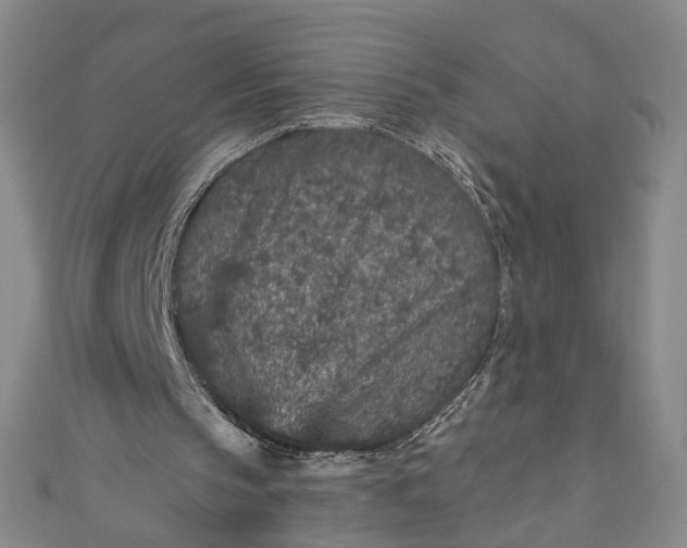 X0000110870145200907021443