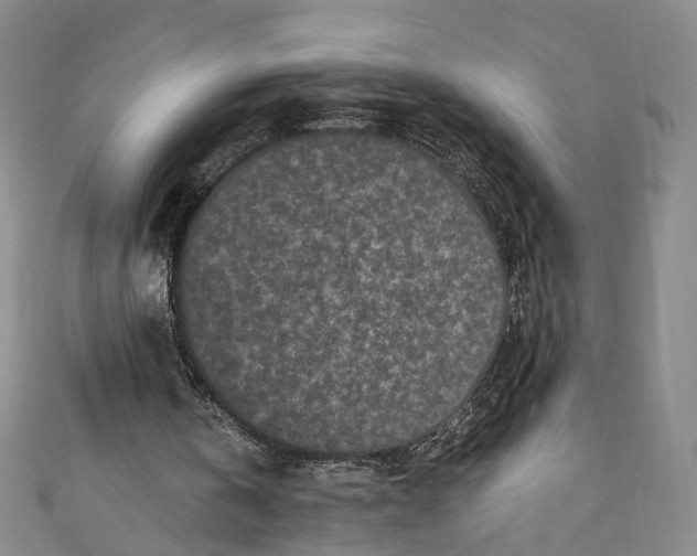 X0000110870146200907021443