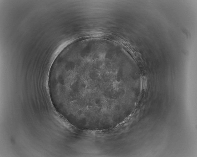 X0000110870147200907021443